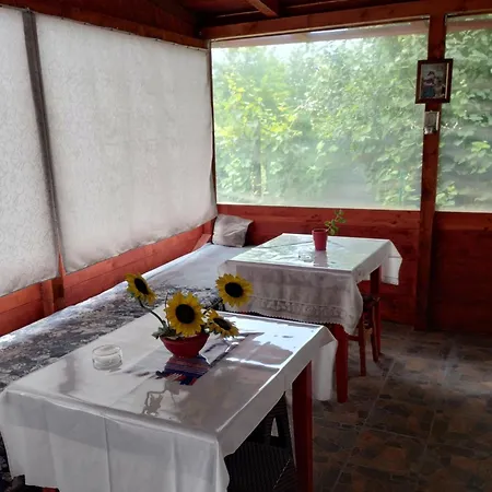 Casa Doina Douăzeci şi Trei August