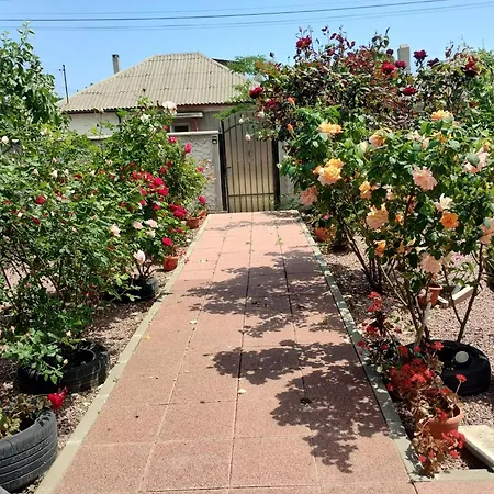 Casa Doina Maison d'hôtes 3*