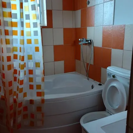 Casa Doina Gasthuis Douăzeci şi Trei August