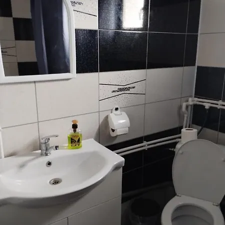 Pensiune Casa Doina 3*