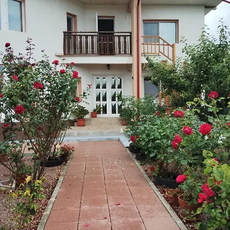 Casa Doina Gasthuis Douăzeci şi Trei August