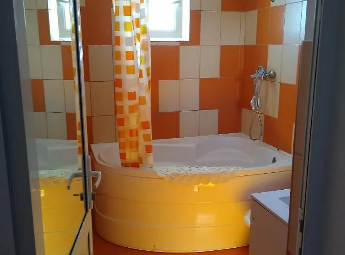 Casa Doina Guest house