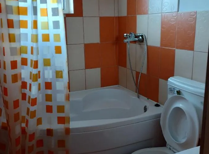 Casa Doina Guest house Douazeci si Trei August