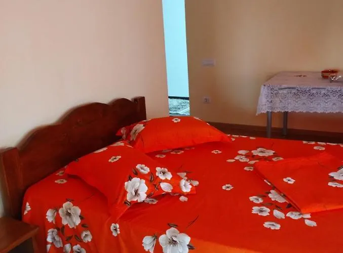 Guest house Casa Doina