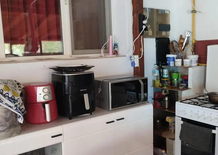 Guest house Casa Doina